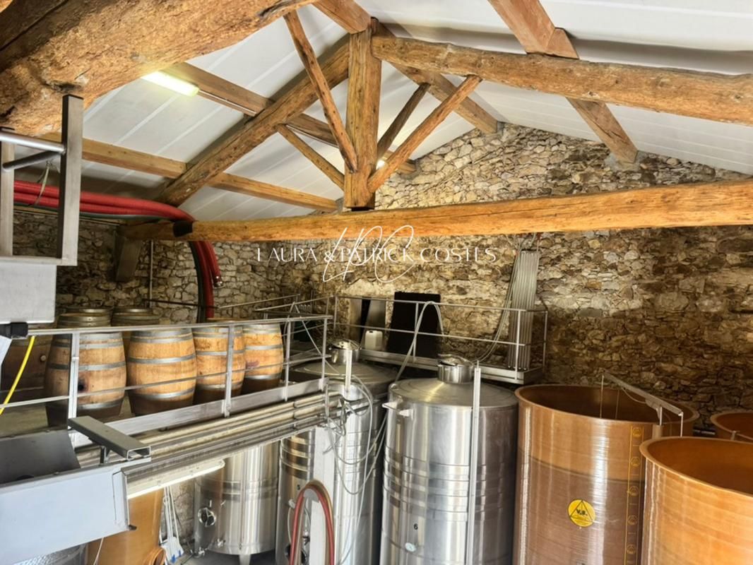 LUC-SUR-ORBIEU MAISON DE MAITRE ET SON VIGNOBLE AU COEUR DES CORBIERES 2