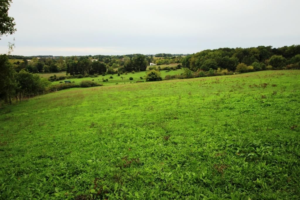 PONS PONS : Anciens chais de 500 m² au sol + 6 ha de terres 3
