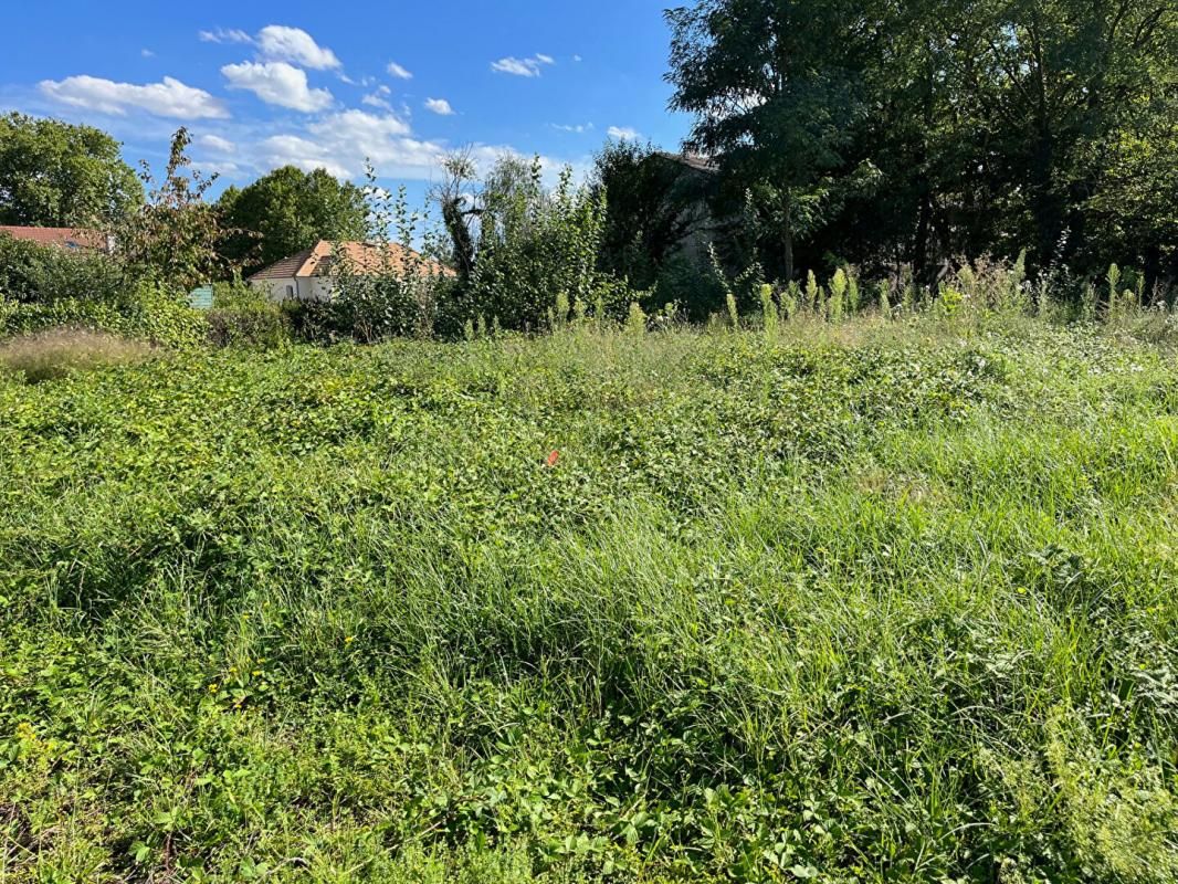 SAINT-MARTIN-EN-BRESSE Terrain Saint Martin En Bresse 626 m2 viabilisé lot 3 2024 2
