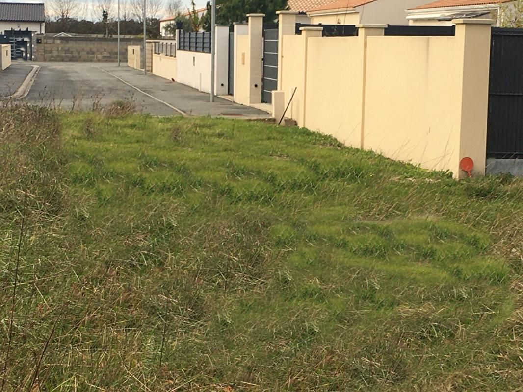 MEDIS terrain viabilisé de 680 M² dont 540 m² constructible Négociable 3