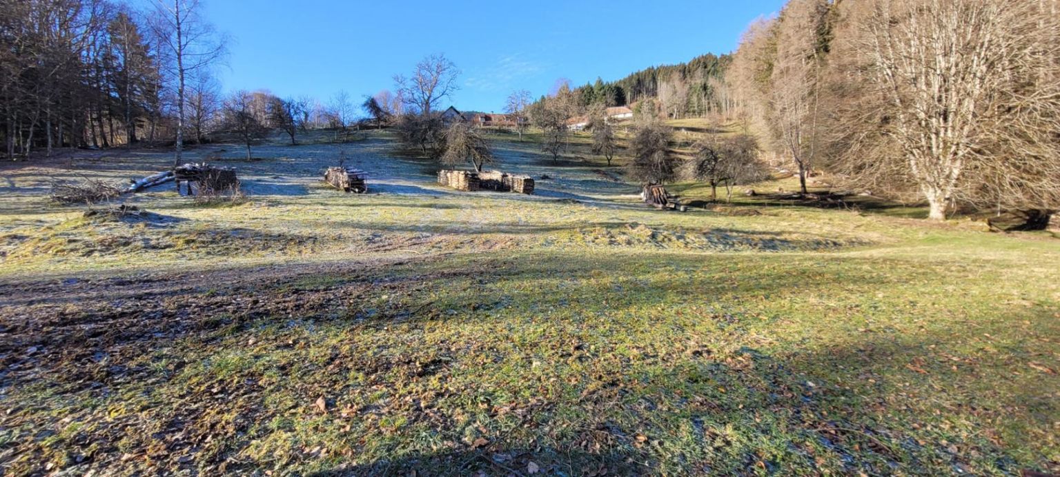 Propriété en altitude sur 6,5 hectares
