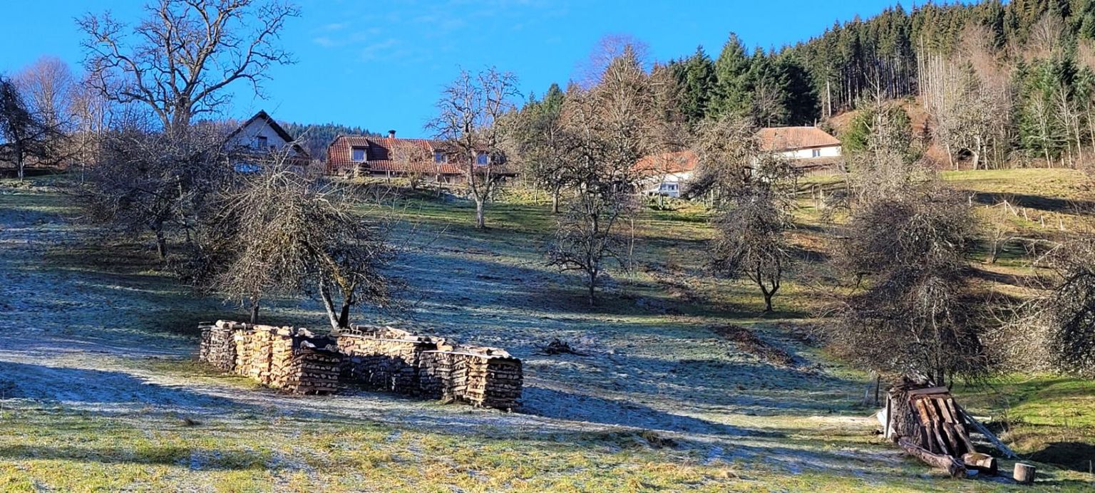 MASEVAUX Propriété en altitude sur 6,5 hectares 2