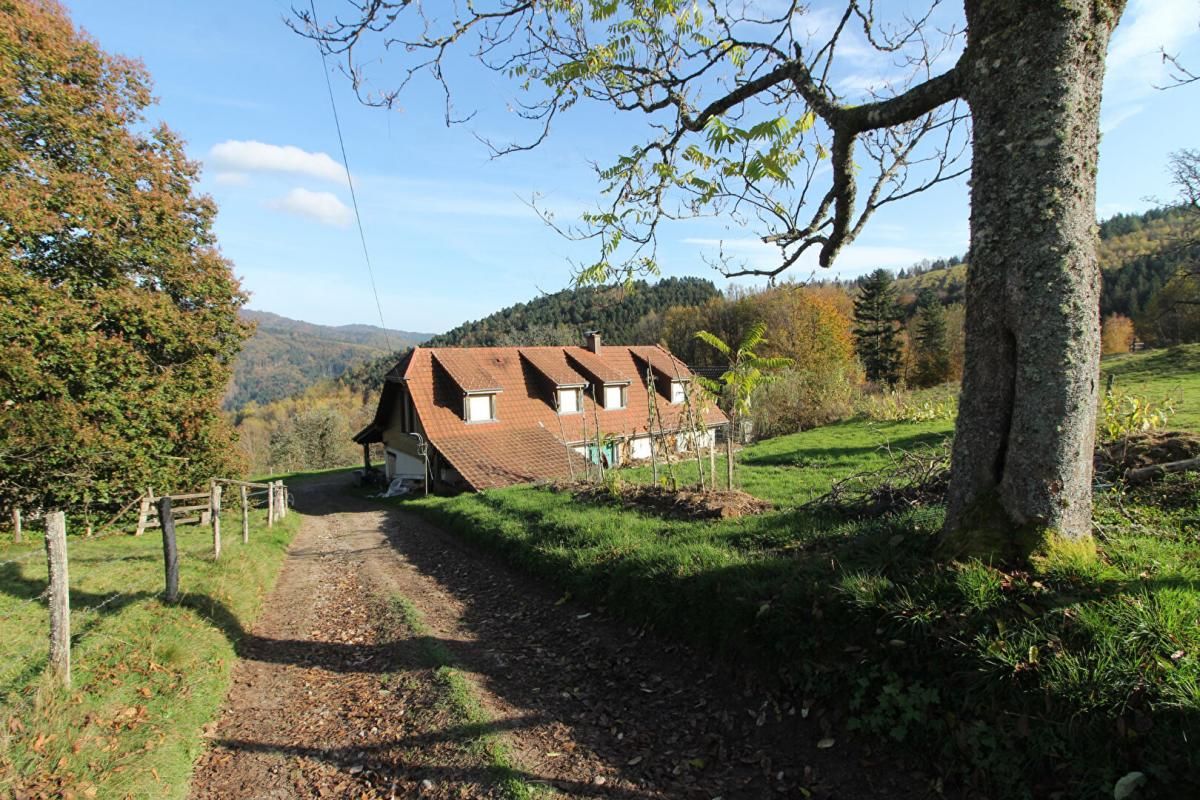 MASEVAUX Propriété en altitude sur 6,5 hectares 3