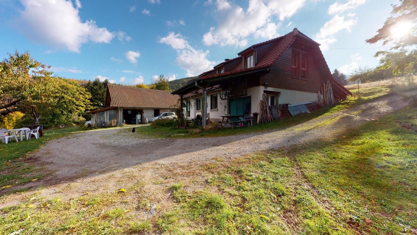 MASEVAUX Propriété en altitude sur 6,5 hectares 4