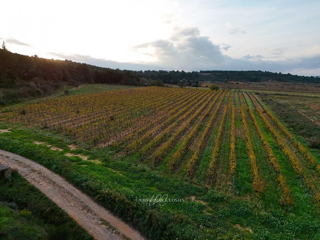 LEZIGNAN-CORBIERES SECTEUR LEZIGNAN CORBIERES - Domaine Viticole, EXPLOITATION ET FONCIER 2