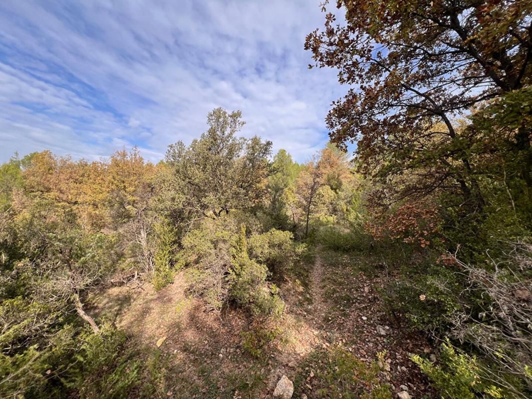 RIANS RIANS Terrain de loisirs 4015 M² 4