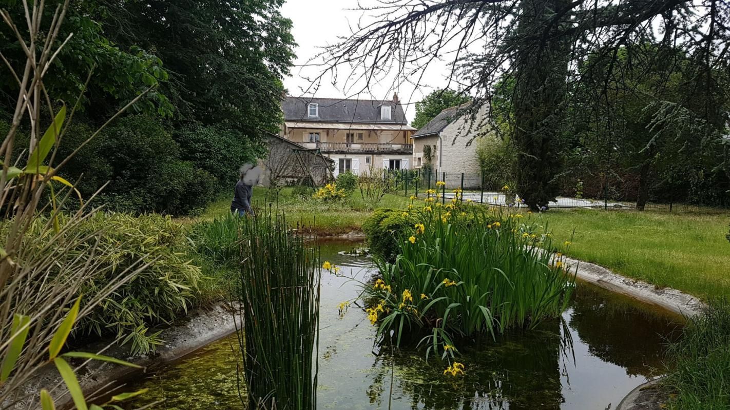 L'ILE-BOUCHARD TRES BELLE DEMEURE A ILE BOUCHARD 3