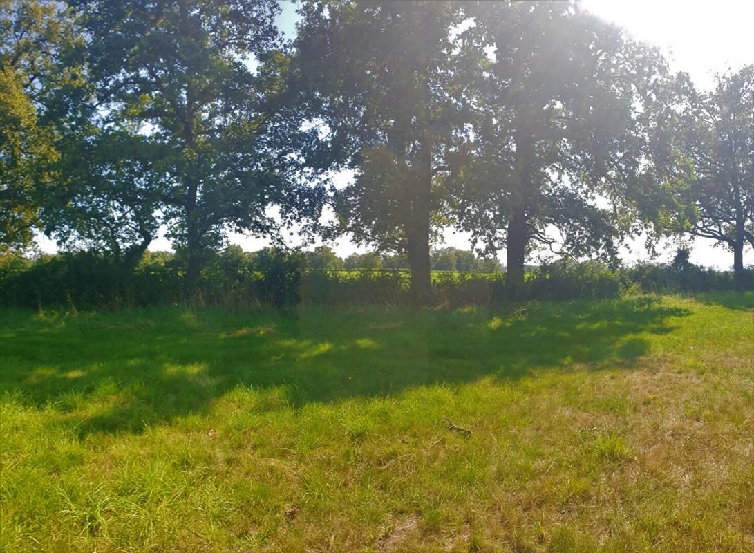 BALBIGNY Terrain de 4 000 m² avec vue 2