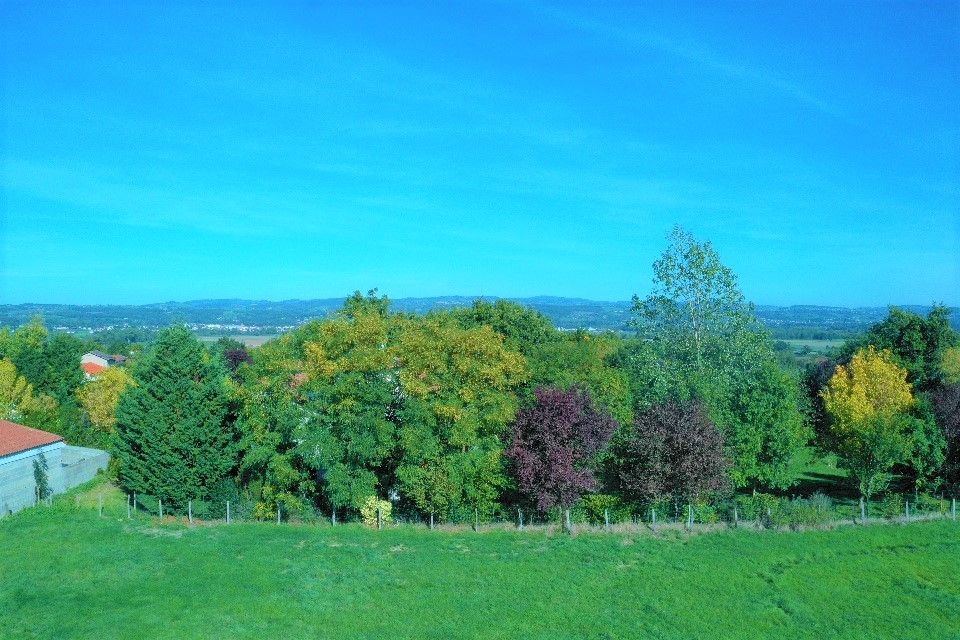 BALBIGNY Terrain de 4 000 m² avec vue 4