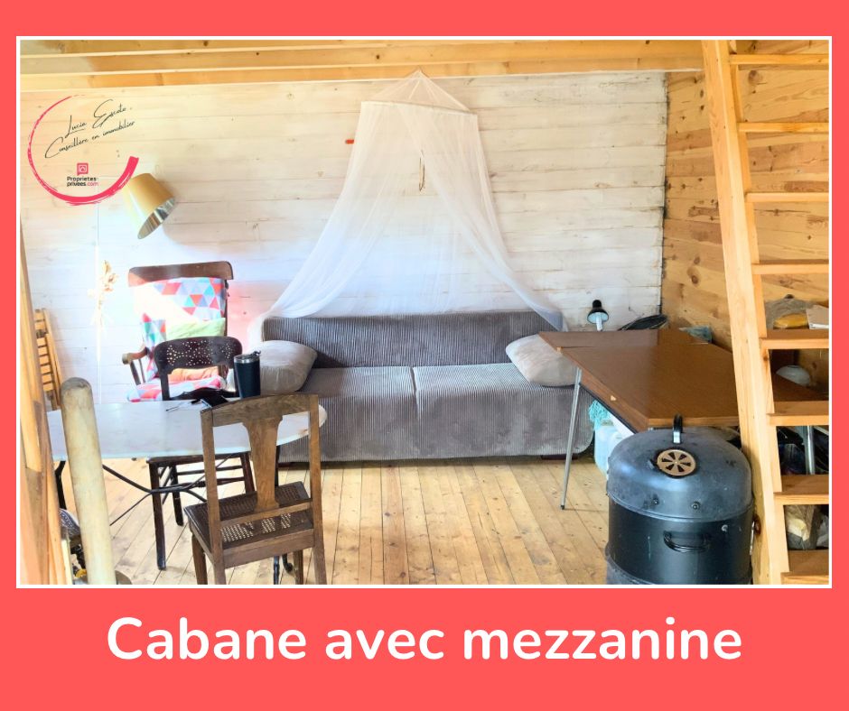 VICQ-EXEMPLET Etang  avec cabane  parfait pour  faire la pèche 3