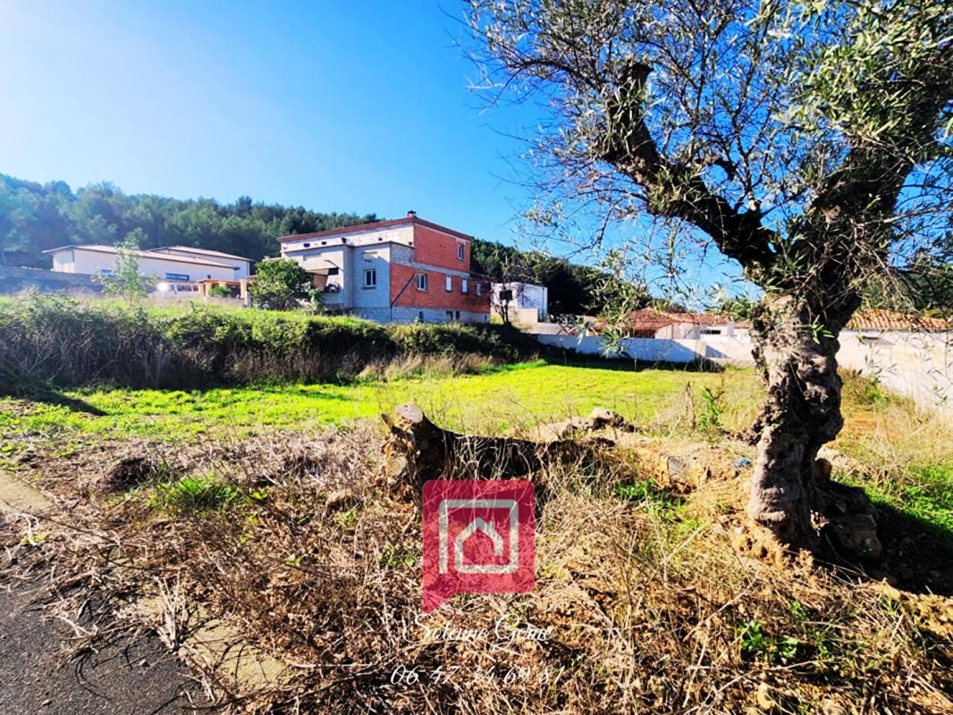 CESSENON-SUR-ORB Terrain  722 m2 4