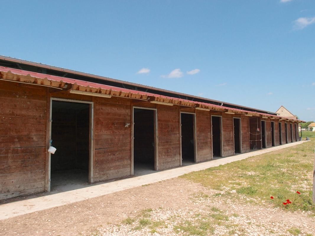 BUXY Propriété équestre sur 13 hectares 3