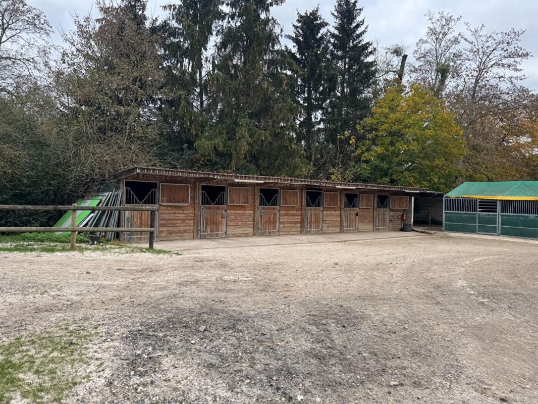 SAINT-GERMAIN-SUR-MORIN Propriété equestre 20 pièce(s) 250 m2 3