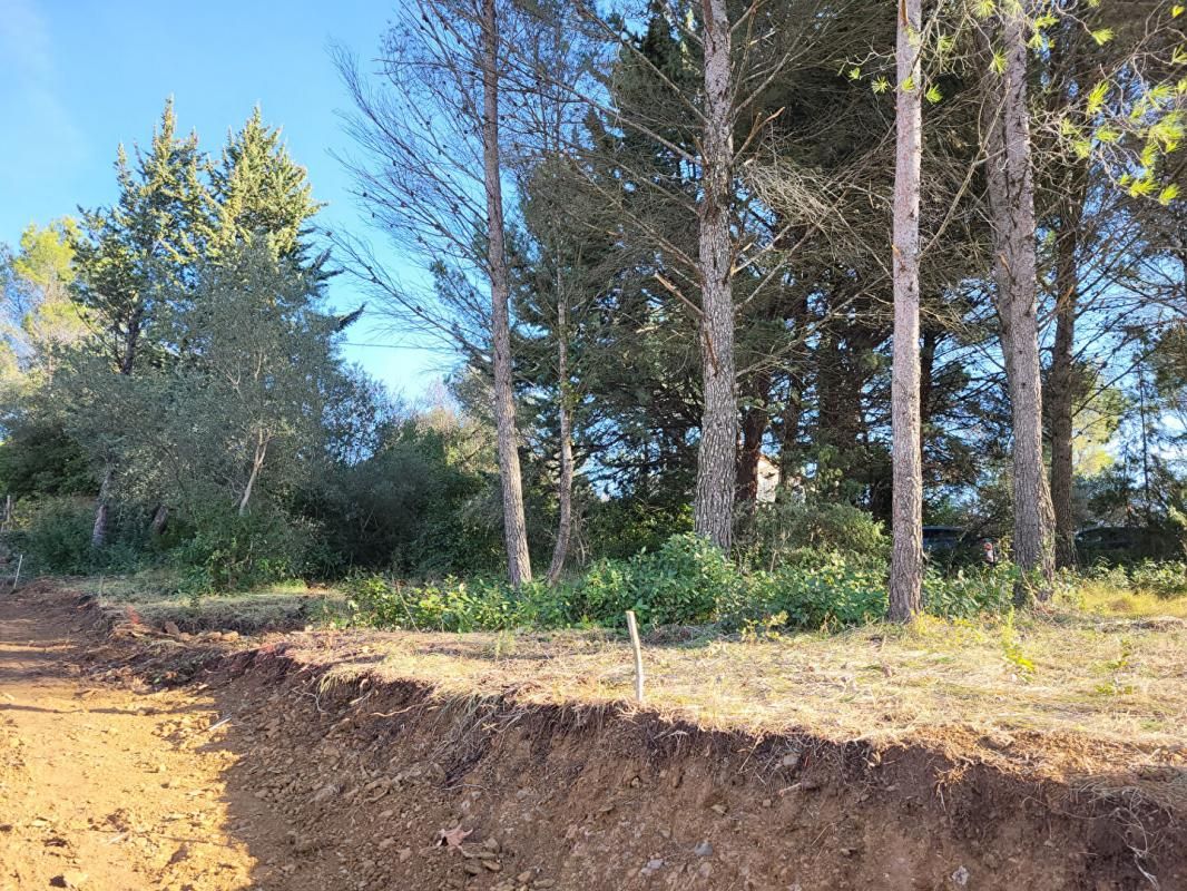 TERRAIN CONSTRUSTIBLE BOISE DE 1038 M2