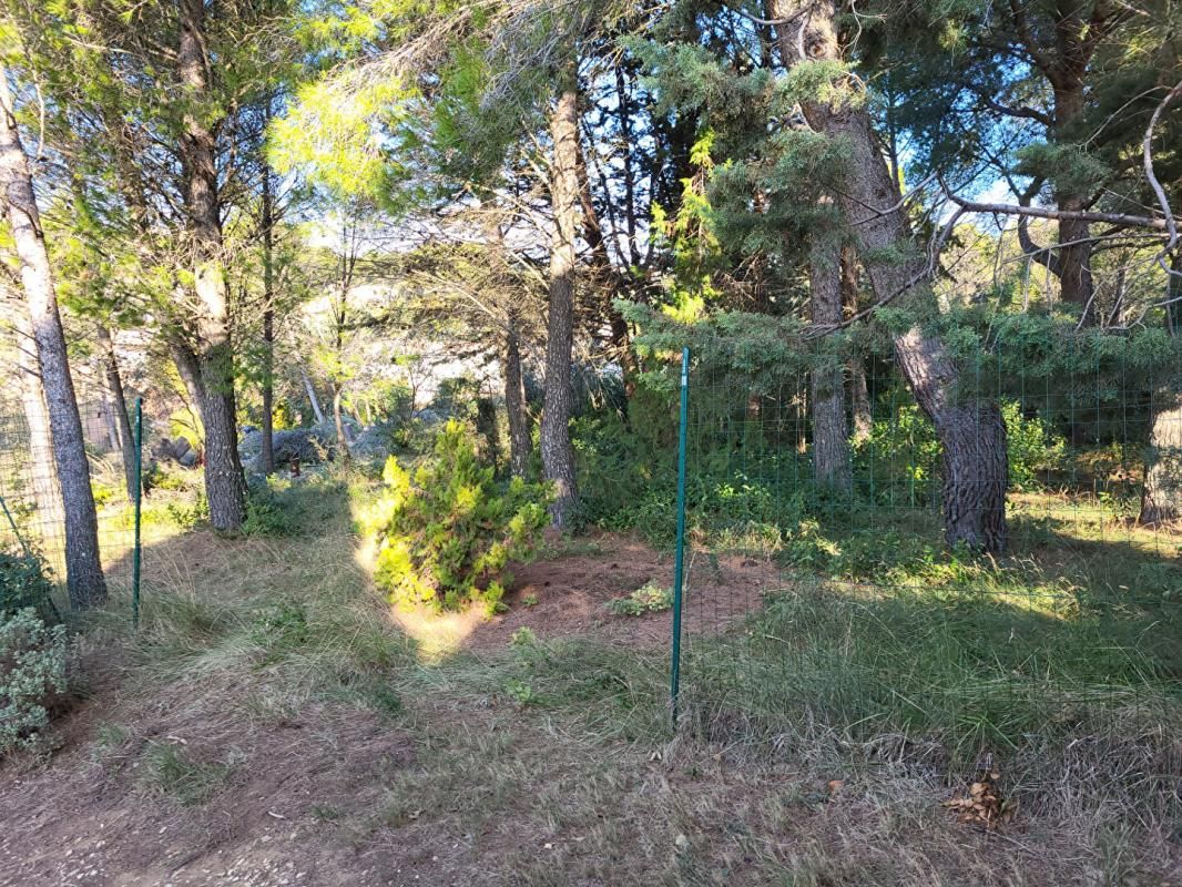 LAUDUN-L'ARDOISE TERRAIN CONSTRUSTIBLE BOISE DE 1038 M2 3