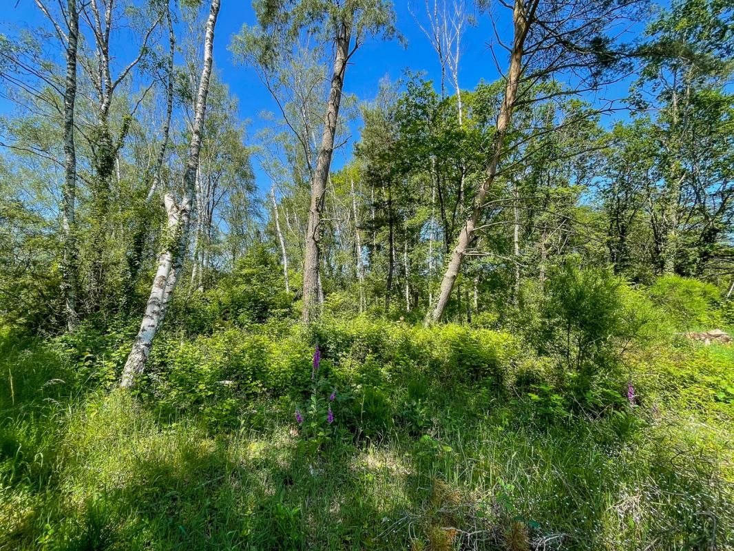ROMORANTIN-LANTHENAY Terrain Romorantin 6550 m2 2