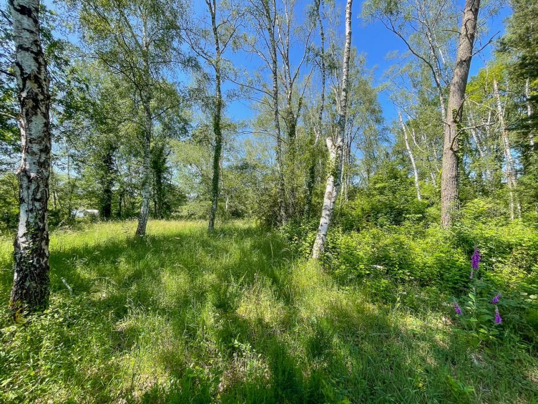 ROMORANTIN-LANTHENAY Terrain Romorantin 6550 m2 3
