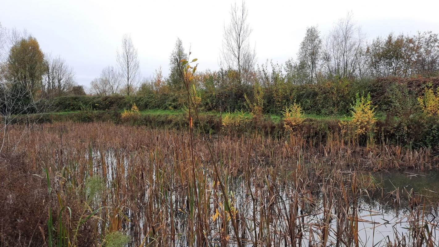 LILLE ETANG AUBERS 6450 m2 2
