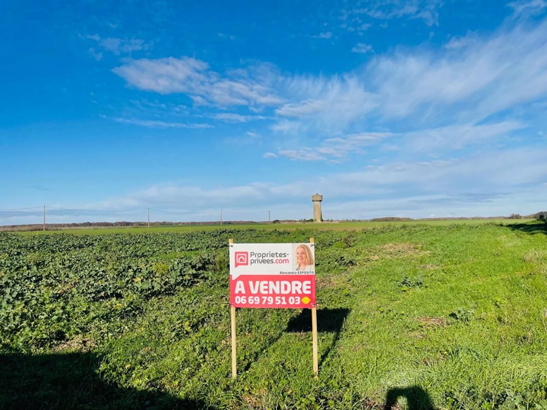Terrain Nogent Le Roi 1002 m2