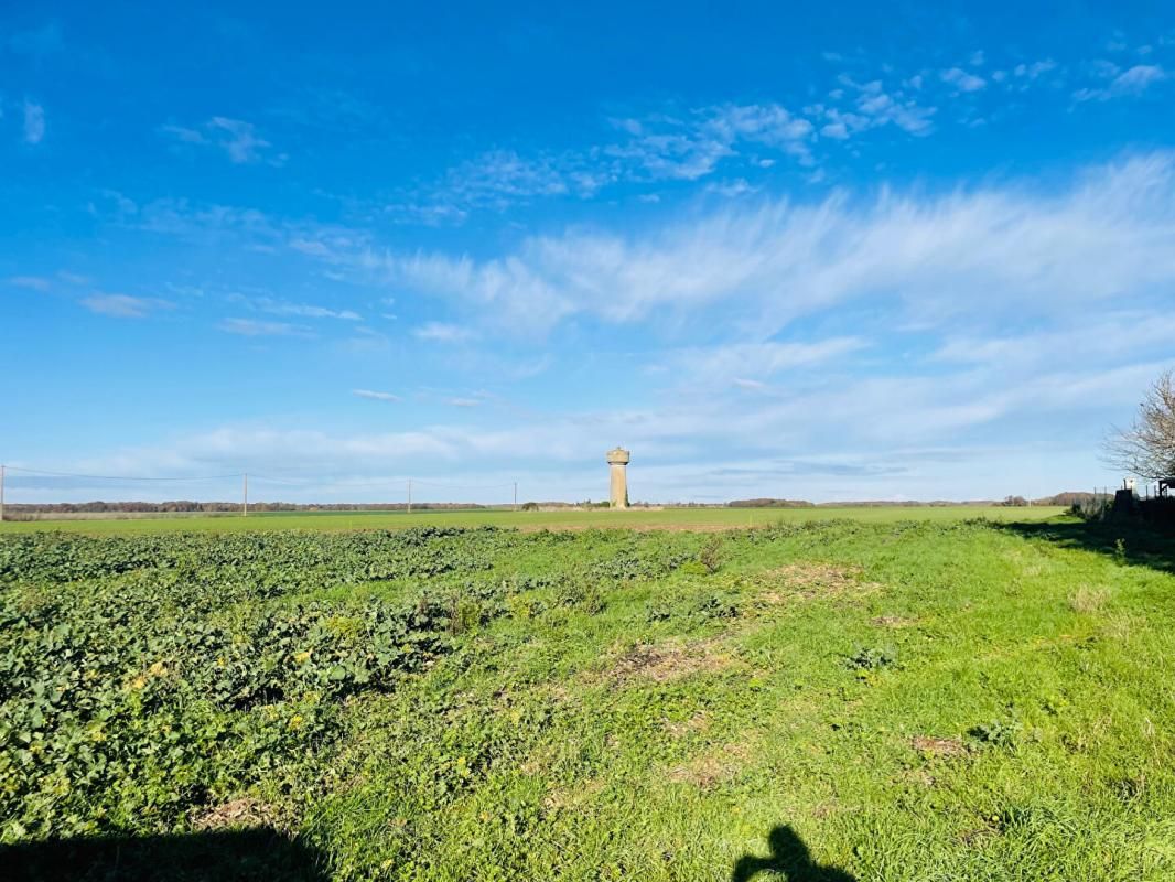 NOGENT-LE-ROI Terrain Nogent Le Roi 1002 m2 4
