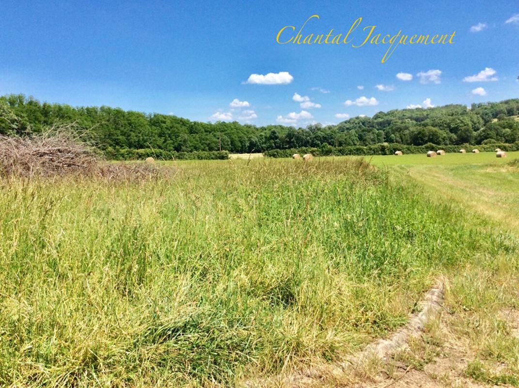 SAINT-JEAN-DE-COLE TERRAIN A BATIR 3