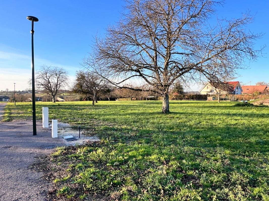 FRETIGNEY-ET-VELLOREILLE 70130 - FRETIGNEY ET VELLOREILLE - Terrain 1137 m² - Prix : 75000 honoraires charge vendeur 2