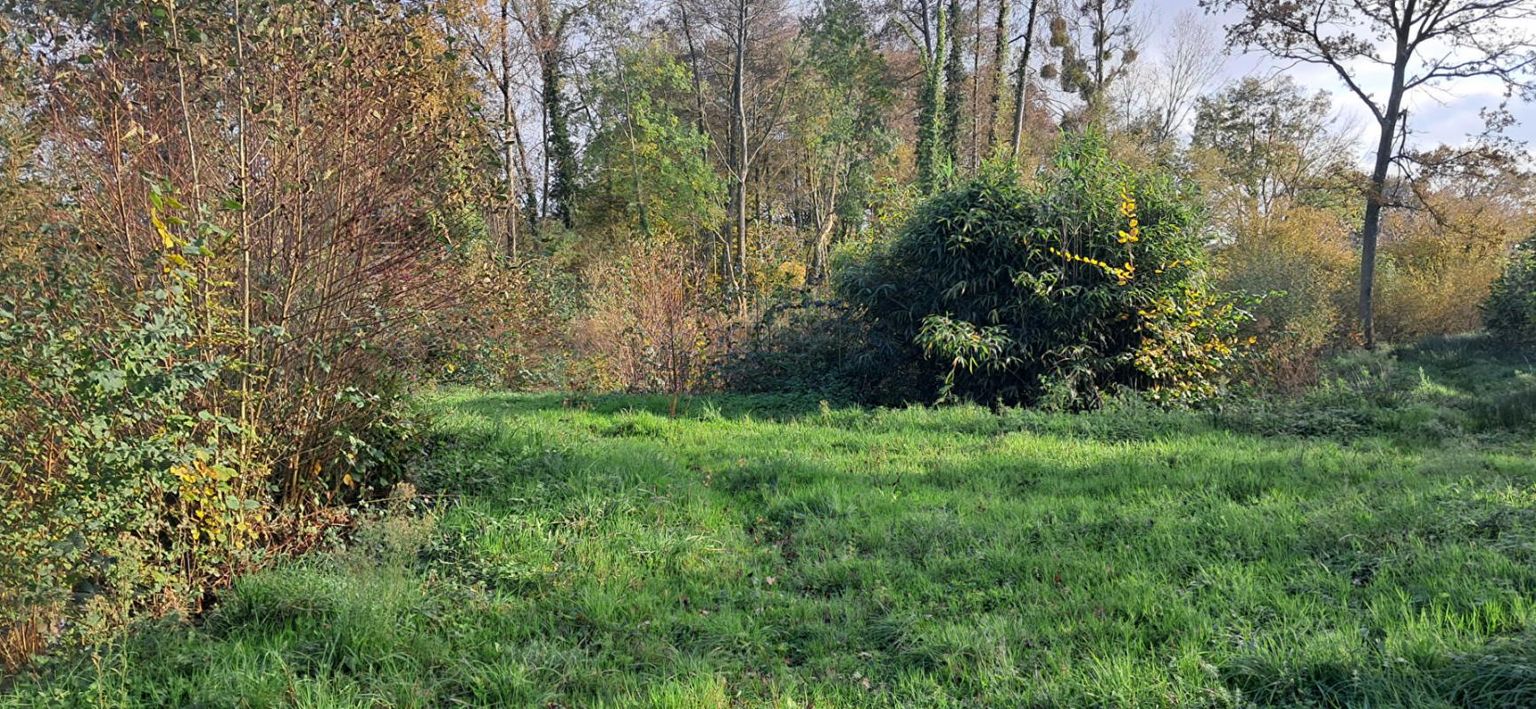 LAVAL A DIX MN DE LAVAL OUEST Terrain de Loisir avec ETANG 2