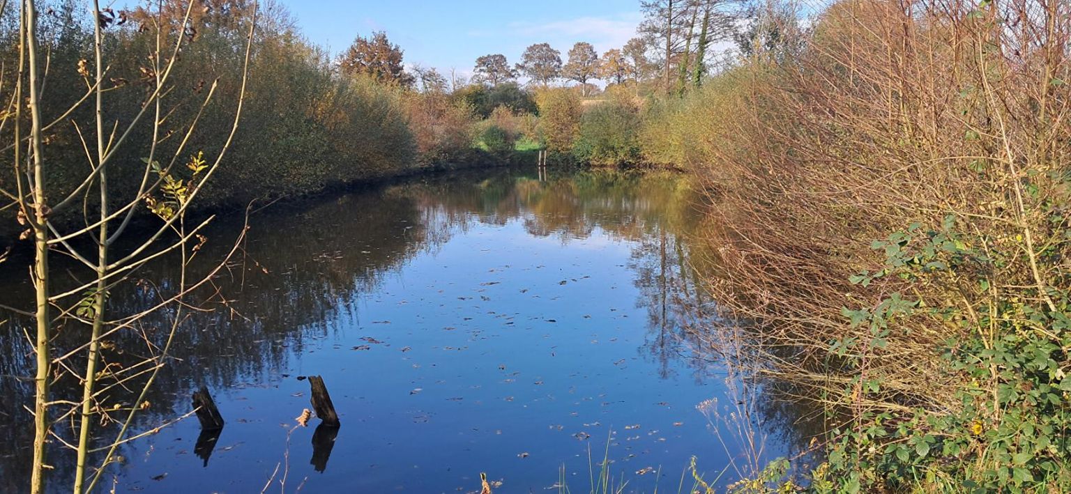 LAVAL A DIX MN DE LAVAL OUEST Terrain de Loisir avec ETANG 3