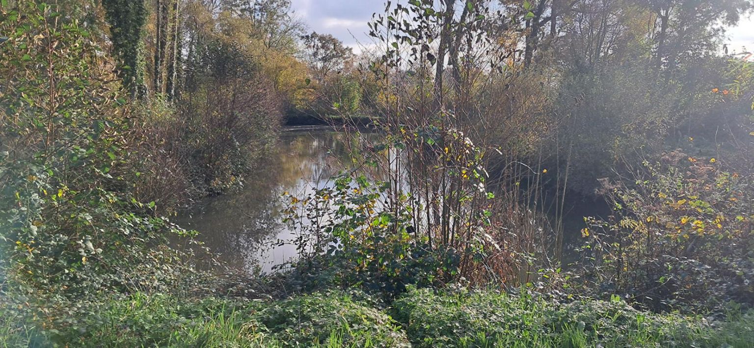 LAVAL A DIX MN DE LAVAL OUEST Terrain de Loisir avec ETANG 4