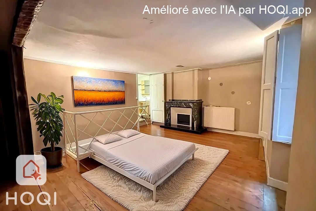 TOULOUSE JARDIN ROYAL - T2 DUPLEX A RENOVER 2