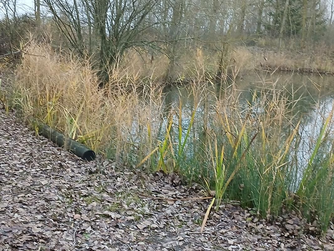LILLE ETANG  AUBERS 3141 m2 3
