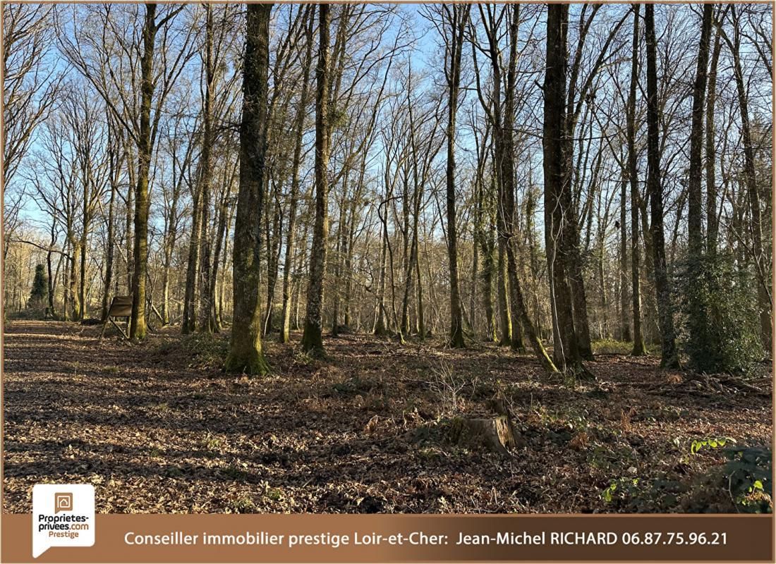 NEUVY-SUR-BARANGEON Propriété de chasse Sologne 174hectares 4