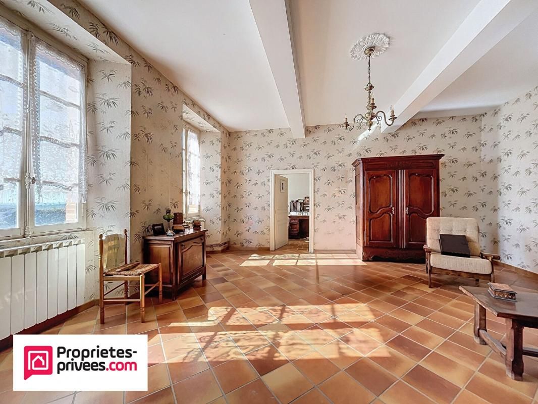RABASTENS Maison de maître 375 m2 et HANGAR 1200m2 sur 1,9ha 4