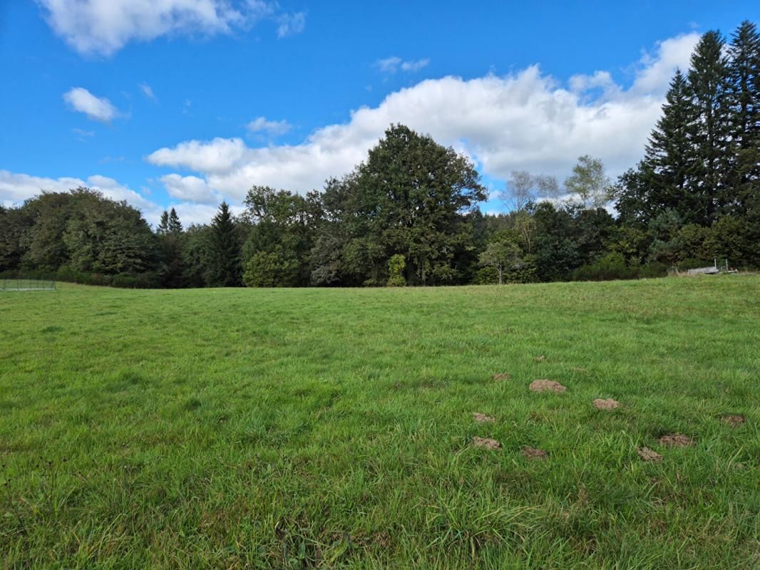 Terrain constructible + terrain non constructible