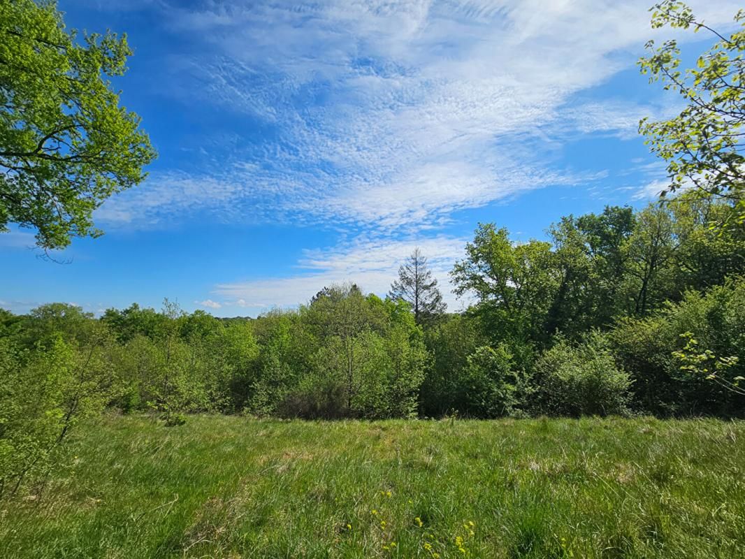 BRIVE-LA-GAILLARDE 5 min BRIVE - Terrain Constructible avec TOUT-A-L'EGOUT - 1600 m2 - 24 990 euros 2