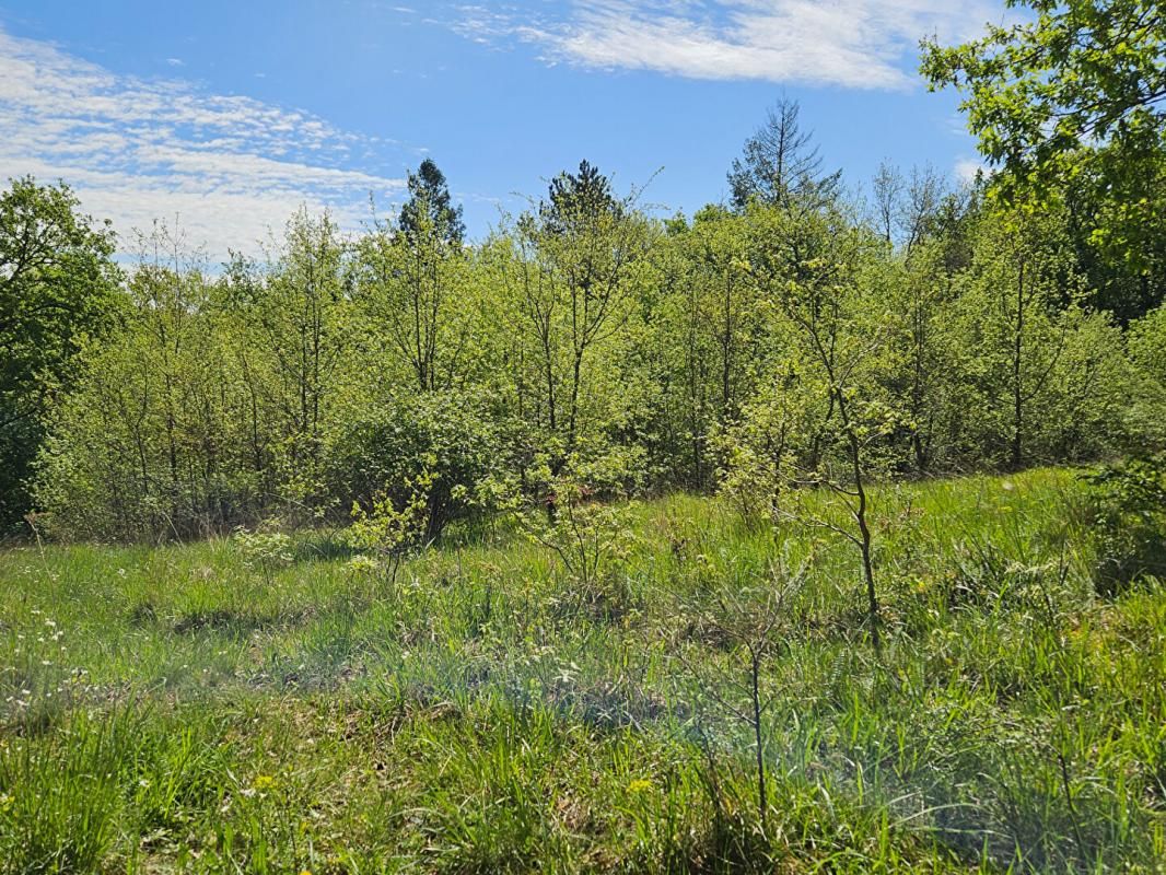 BRIVE-LA-GAILLARDE 5 min Brive - Terrain CONSTRUCTIBLE avec TOUT-A-L'EGOUT - 3200 m2 - 49 990 euros 2