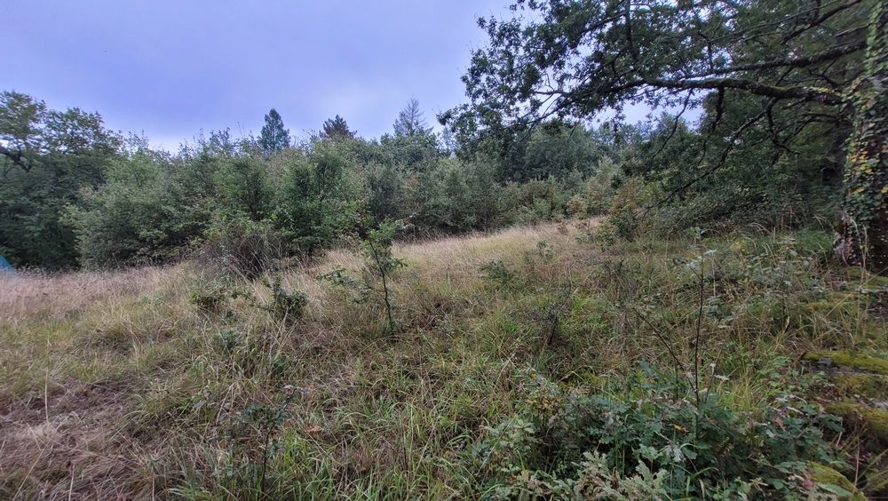 BRIVE-LA-GAILLARDE 5 min Brive - Terrain CONSTRUCTIBLE avec TOUT-A-L'EGOUT - 3200 m2 - 49 990 euros 4