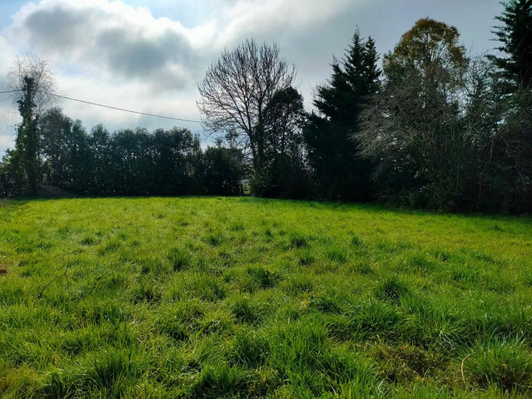SAINT-LOUBES TERRAIN A BATIR 850 m² ( LIBRE DE CONSTRUCTEUR) 2