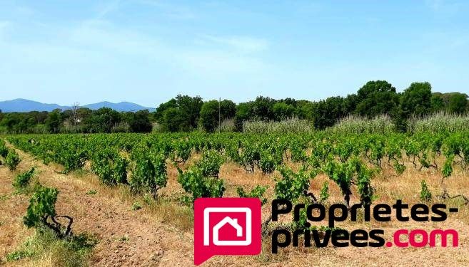 Maison Vidauban 8 pièces terrain 5 hectares