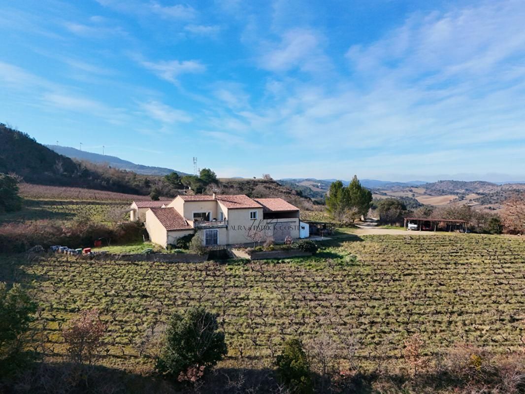 LIMOUX Domaine Viticole avec Maison, Gîte en Activité et Vignes 4
