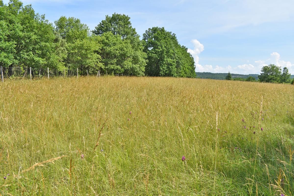 LA CASSAGNE Terrain constructible 5580 m2 La Cassagne 4