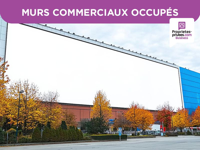 BORMES LES MIMOSAS - MURS COMMERCIAUX LOUES, Local commercial 350 m²