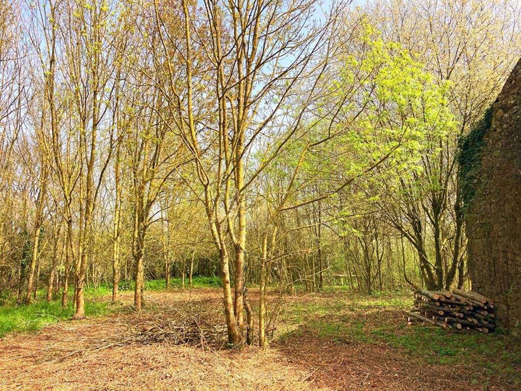 Bâtiments et terrain multi usages - NEGOCIABLE