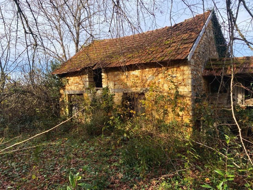 SAINT-SULPICE-D'EXCIDEUIL Maison Saint Sulpice D Excideuil 4 pièce(s) 60 m2 4