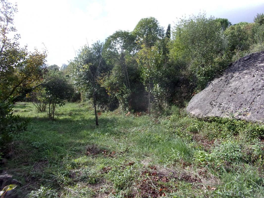 Grand terrain constructible, 2856 m2, Lodève, 163000