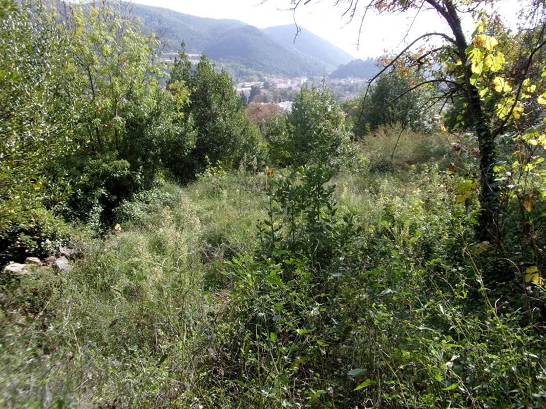 LODEVE Grand terrain constructible, 2856 m2, Lodève, 163000 4
