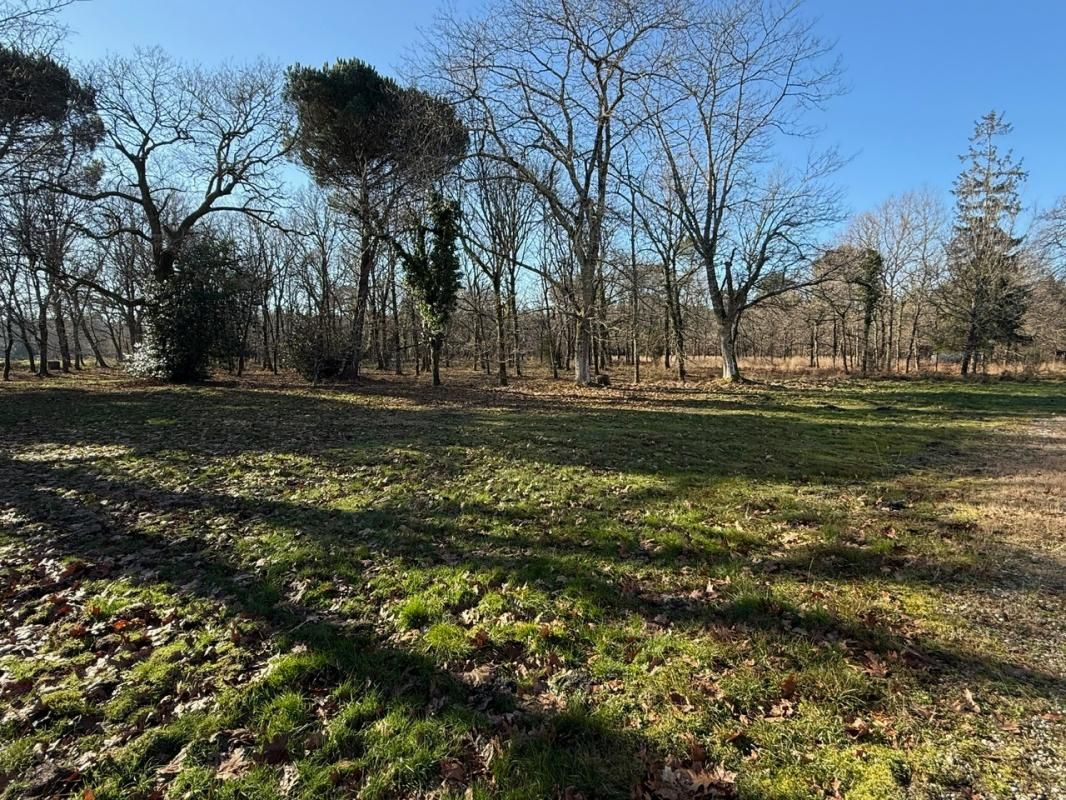 LE BARP Maison 8 pièces Le Barp  211.37 m² -  5 chambres sur grand terrain 4