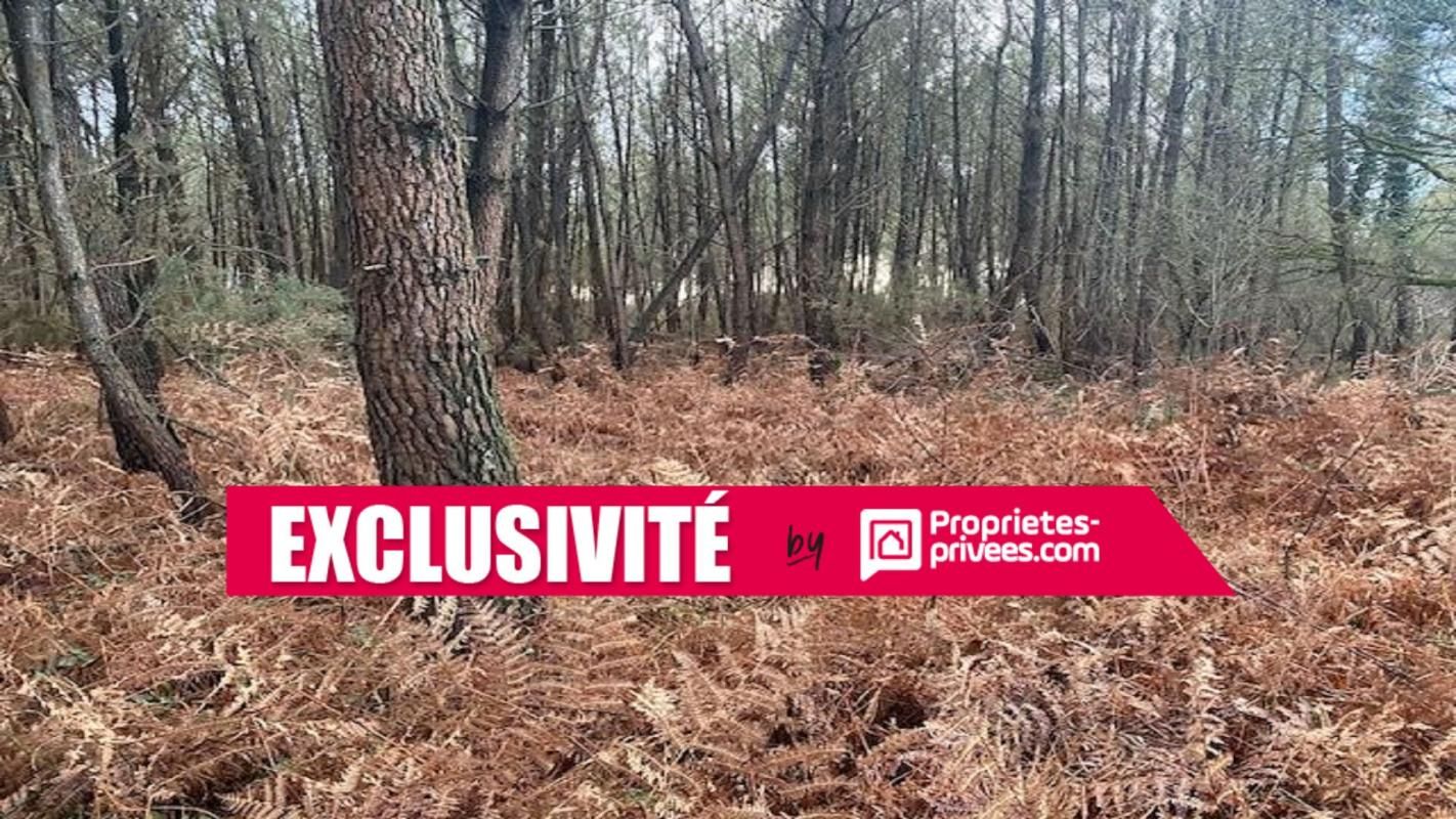 Domaine forestier Saint Martin Sur Oust