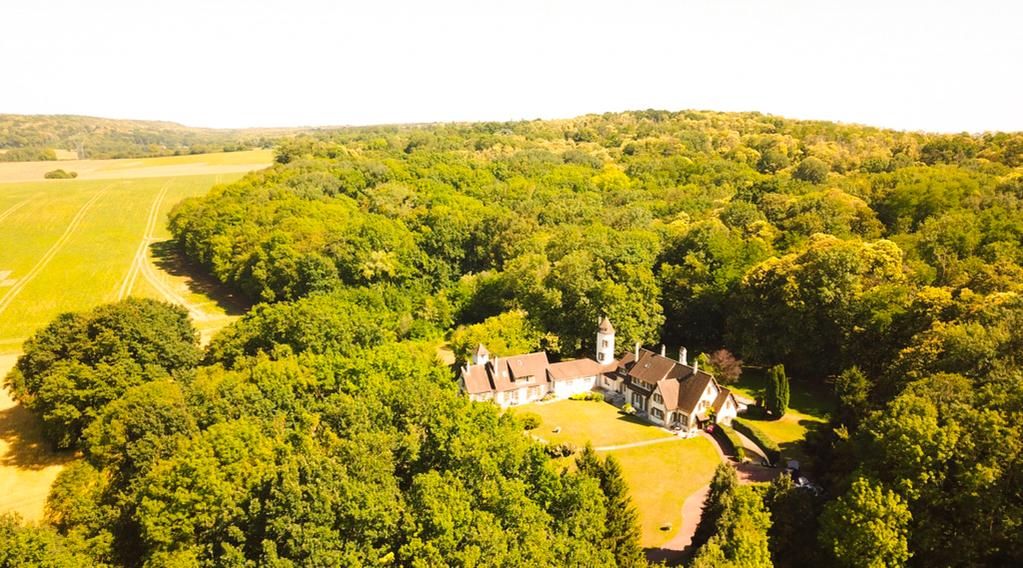 Demeure de prestige - Manoir -  Forêt de l'Isle-Adam / Forêt de Montmorency 13 pièce(s) 610 m2
