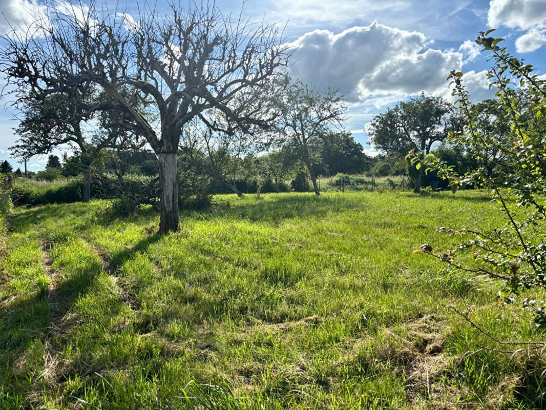 COULANGES-LES-NEVERS COULANGES-LES-NEVERS - TERRAIN A BATIR 700 M2 2